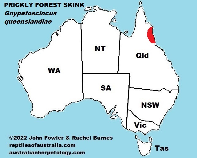 Approximate distribution of the Prickly Forest Skinks (Gnypetoscincus queenslandiae)